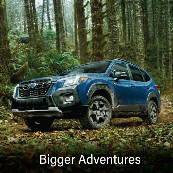 A blue Subaru outback wilderness with the words “Bigger Adventures“. | Subaru Superstore of Surprise in Surprise AZ